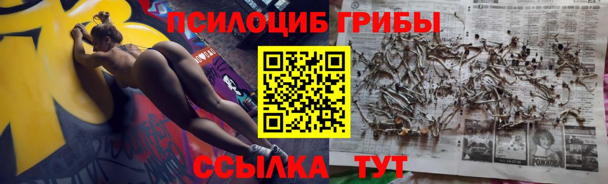 Галлюциногенные грибы MAGIC MUSHROOMS  Вход с VPN  Ессентуки 